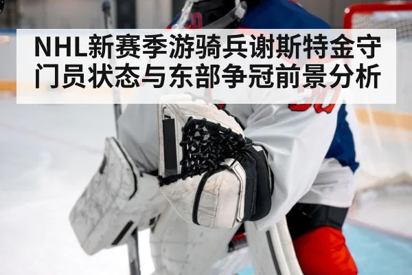 ice hockey goalie